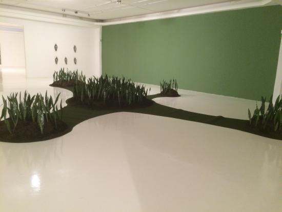 Museu de Arte Contemporânea